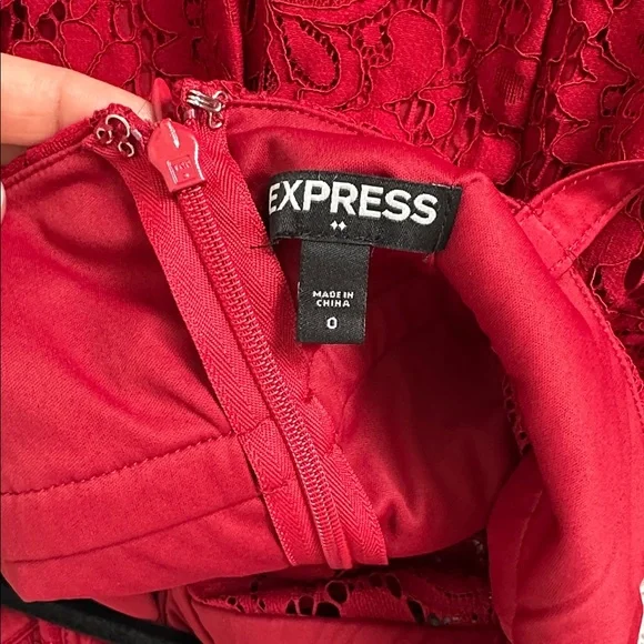 Express Lace Dress - Picture 3 of 4